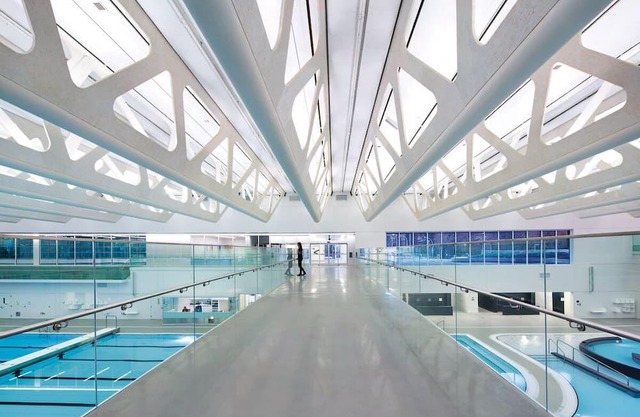 Welcome to Our Urban Oasis!