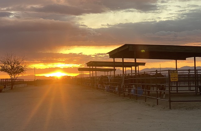 Wickenburg Arizona Casita