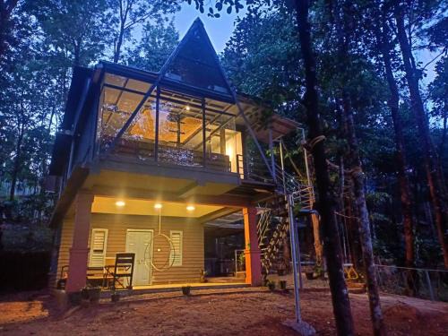 Wild root stay- Aster Chalet