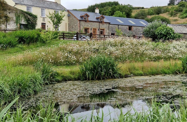 Wonderful villa for 4 guests with WIFI, terrace and parking