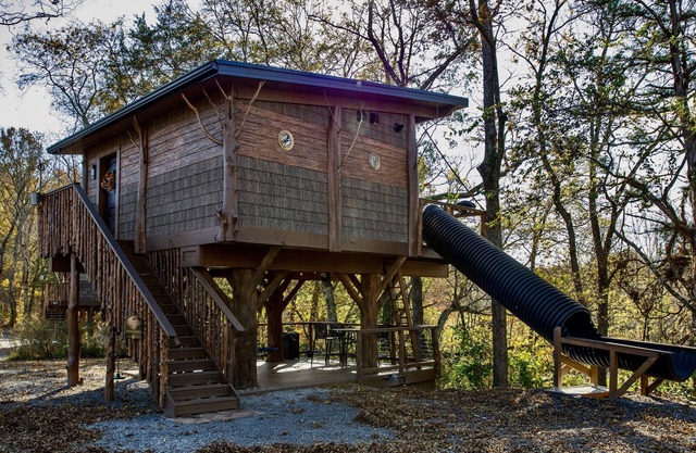 🐿World's First Interactive Treehouse Resort! Squirrels Gone Wild🐿