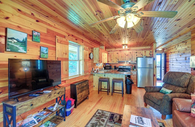 Wraparound Deck & Hot Tub: Blue Ridge Mtn Cabin