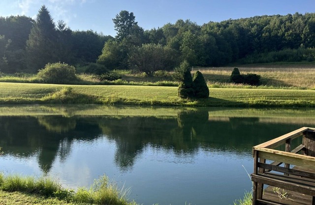 Wyman’s Willow. Home on sprawling property with a pond, hiking & wildlife.