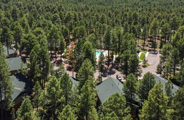 Wyndham Pinetop - Studio