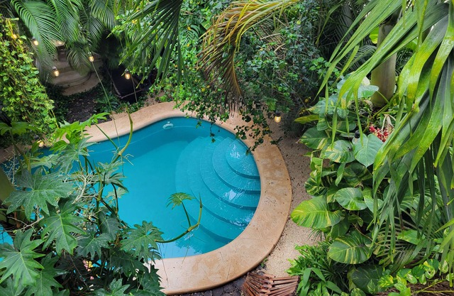 Your Secret Oasis in Tulum. A jungle getaway right in the middle of la Veleta.