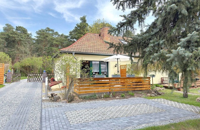 Zach Waldglück - Waldplon