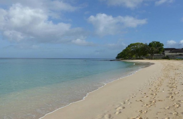 Zenbreak Freshwater Beachfront 5