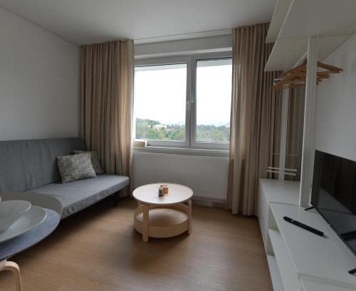Liptovsky Hradok Apartment | Útulný byt v LH