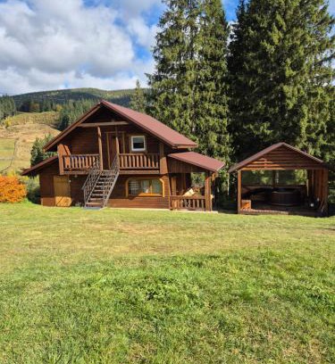 Vorokhta Cabin | На горі