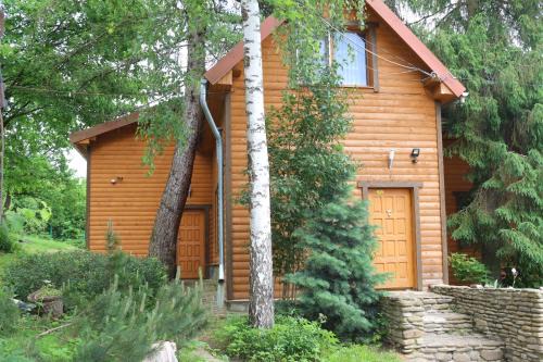 Nizhneye Sinevidnoye House | Садиба У Романа 'корпус із сауною'