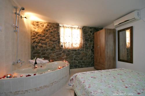 Katzrin Cabin | צימרים מעיין קצרין