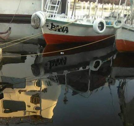 Aswan Boat Rental | اسوان