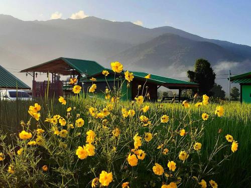 Pua House | ชมนาโฮมสเตย์บ้านนาคำ