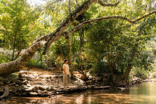 Palian Hotel | บุหลัน ธารา ล่องแก่งสตูล Bulhun Tara Satun