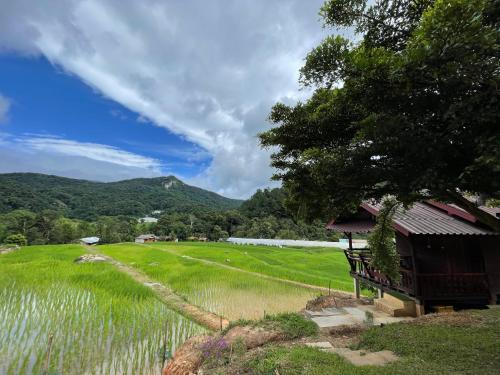 Ban Luang House | บ้านพักเคียงนา