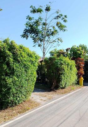 Samut Sakhon House | บ้านสโนว์เขาค้อ