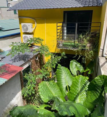 Cat Hai Apartment | Ốc Garden Homestay Cát Bà