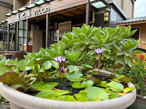 Jinning House | 夏之戀民宿 可包棟 近金城市區