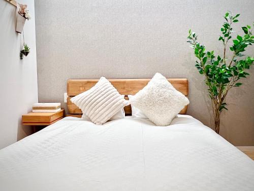 Chuo Apartment | 近秋叶原东京中心豪华大床房KGob 车站2分 4站可用 配奢华戴森 适合2人