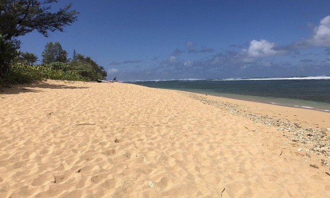 Wainiha House | 1 Min Walk to Sandy Barrier Reef-Protected Soft Beach 4br 4ba