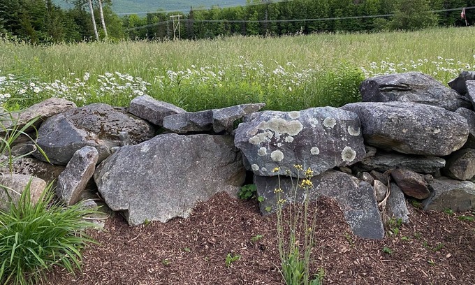 Mount Holly Apartment | <10 minutes to Okemo!