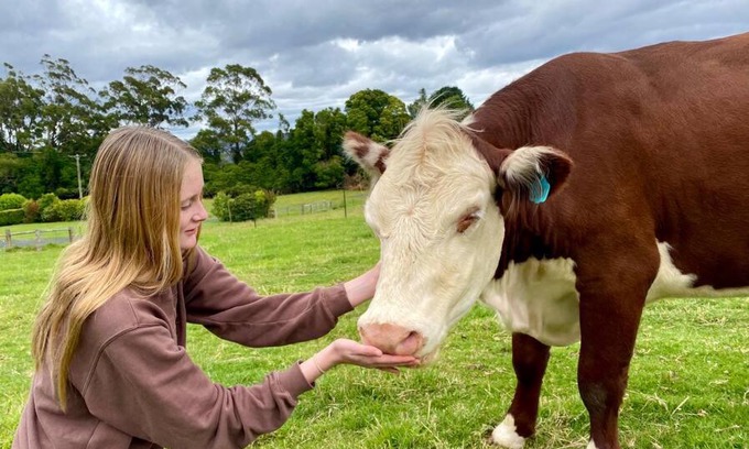 Bellawongarah House | 100 acres of mountain paradise all to yourself