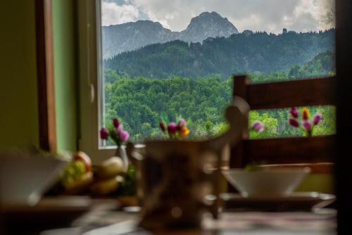 Zakopane Apartment | 100 m2 Apartment - Nabucco with 270 degree Mountain View, 65 Oled TV, Netflix, PS5 Console