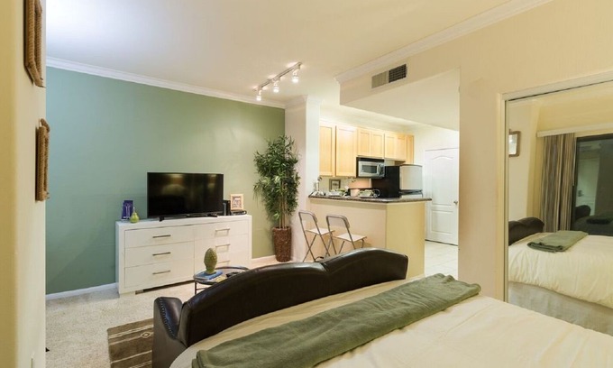 City West Apartment | #154165 Luxury Studio Apartment - DTLA view