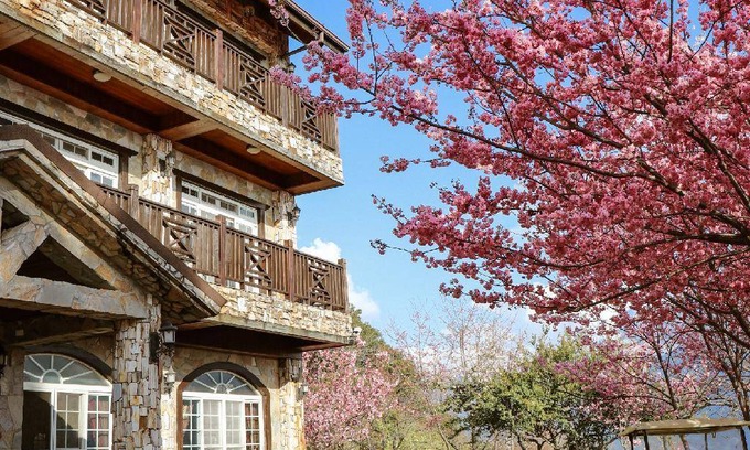 Ren'ai Hotel | 158 m² Motel ∙ 127 guests