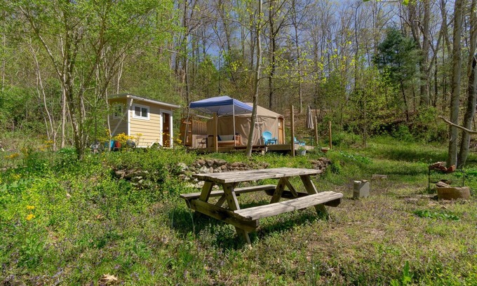 Asheville Cabin | 16’ Yurt in the Forest, Queen bed, kitchenette, hiking & 15 min to AVL.