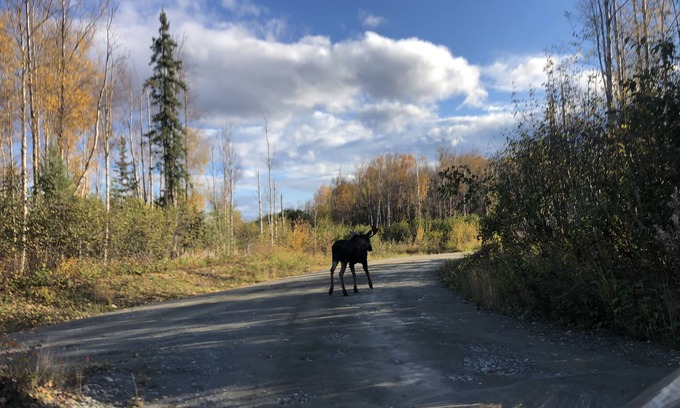 Wasilla House | 19FT RAPTOR RV... POSSIBLE DELIVERY AVAILABLE.
