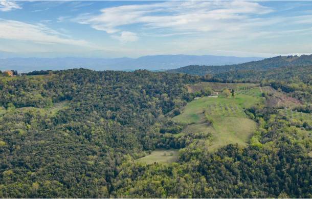 Campagnatico Apartment | 2 bedroom accommodation in Campagnatico