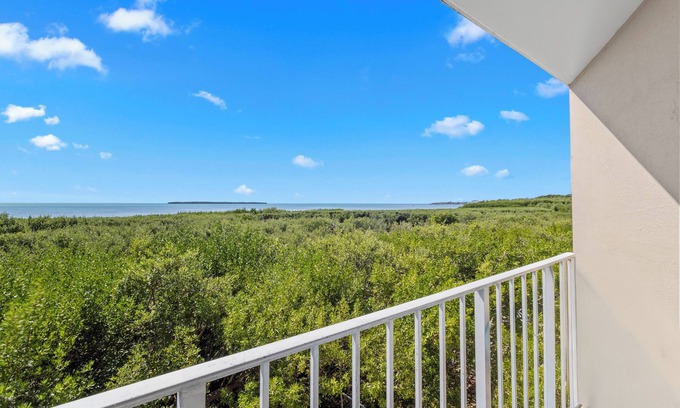 Tavernier Apartment | 2 Oceanview Suites! Full Kitchens, Outdoor Pool! Close to John Pennekamp Park