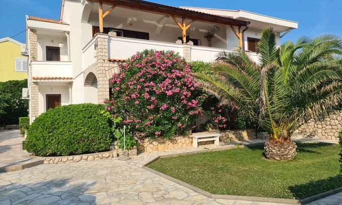 Pag Apartment | 25 m² Apartment ∙ 1 bedroom ∙ 2 guests