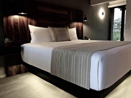 Campo de Golf Fonatur Hotel | 3 Incredible King Suite Rooms in Boutique Hotel