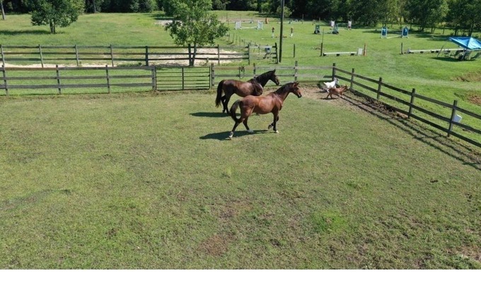 Gulfport Other | 30 Acre Horse Farm with Barn