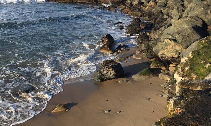 Westside Santa Cruz House | 33% Discount, Fantastic Location, steps to ocean, clean comfortable house.