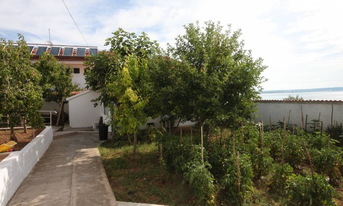 Preko Apartment | 34 m² Apartment ∙ 1 bedroom ∙ 4 guests