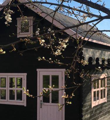 Biskupiec Cabin | 35 m² Lodge ∙ 4 guests