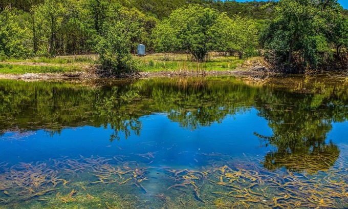 Medina House | 3H Ranch Mountain Retreat