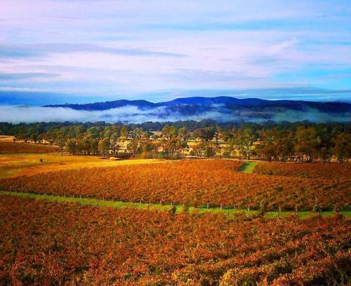 Moonambel House | 4 Bedroom Holiday House in Winery