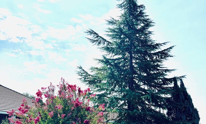 Sacramento Resort | 4-bedroom resort charming, Sacramento WiFi, AC, swimming pool, freeway intersect