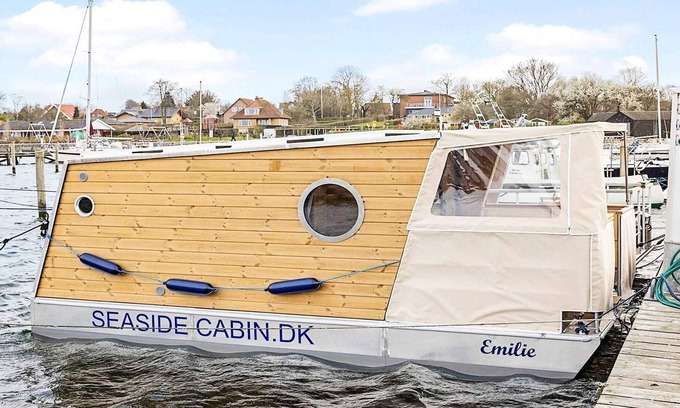 Ærø Municipality House | 4 person holiday home in Ærøskøbing-By Traum