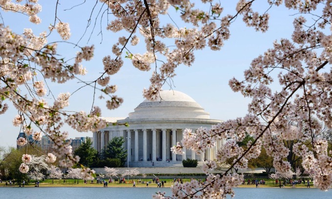Capitol Hill Hotel | 4 Units | Family Friendly DC Haven, Pets Allowed | Near Smithsonian & Memorials
