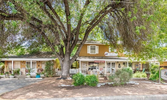 Fredericksburg Cottage | 47 m² Cabin ∙ 1 bedroom ∙ 2 guests