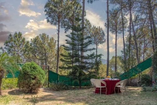 Dharampur House | 4BR cozy villa kasauli garden bone fire open terrace jhula by the north edge
