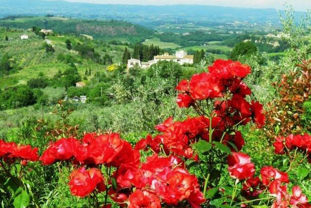 Magliano Apartment | 50 m² Apartment ∙ 2 bedrooms ∙ 3 guests