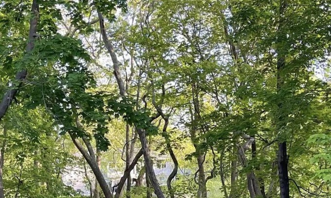 East Moriches House | 9000ft Hamptons Mansion Retreat Massive Indoor Pool Suana