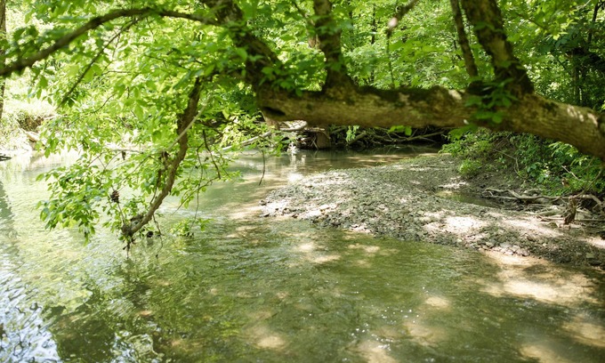 Sharpsburg House | 9511 Compressor Rd, Chesterhill, OH - Outdoor Movie Theater with Outdoor Kitchen and Games