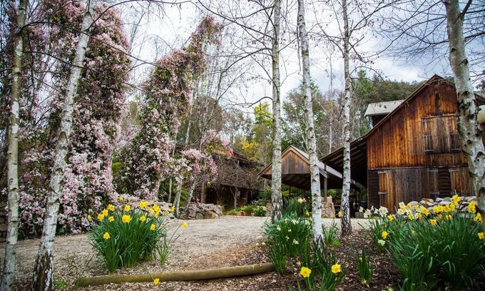 Tawonga South House | A bespoke romantic retreat in the heart of the high country, breakfast included.